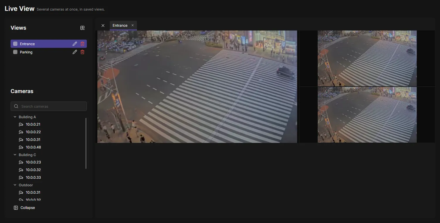 Live View with the view Entrance open: three cameras in a grid